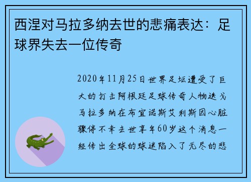 西涅对马拉多纳去世的悲痛表达：足球界失去一位传奇